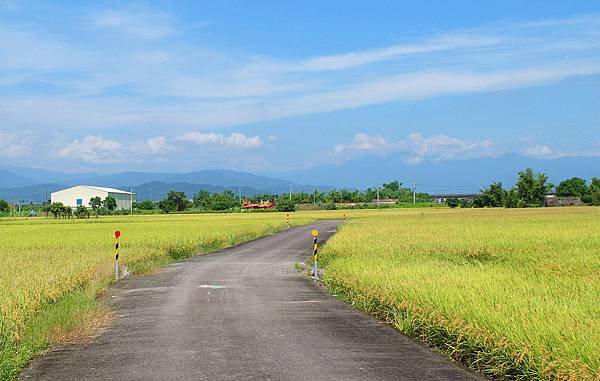 SAM_0208_副本