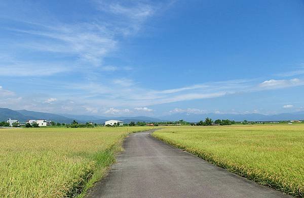 SAM_0204_副本