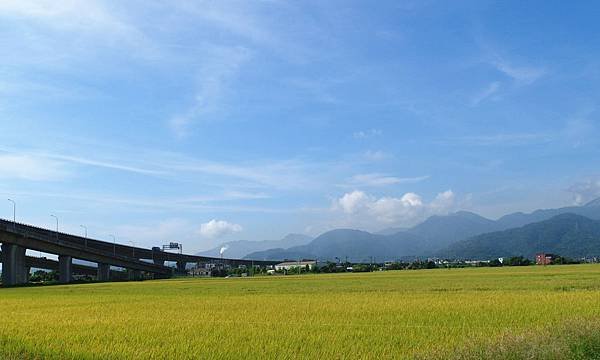 SAM_0166_副本