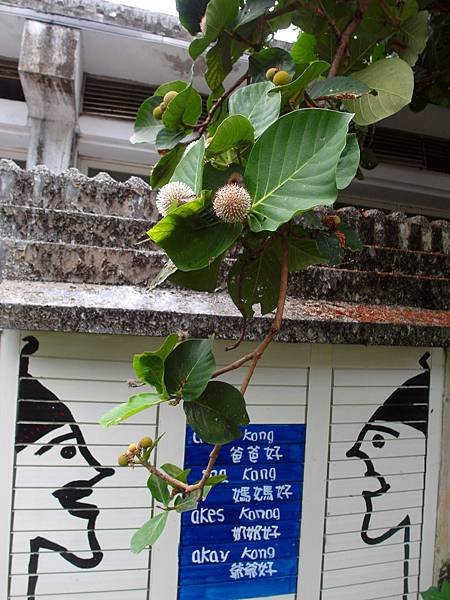 SAM_8745_副本