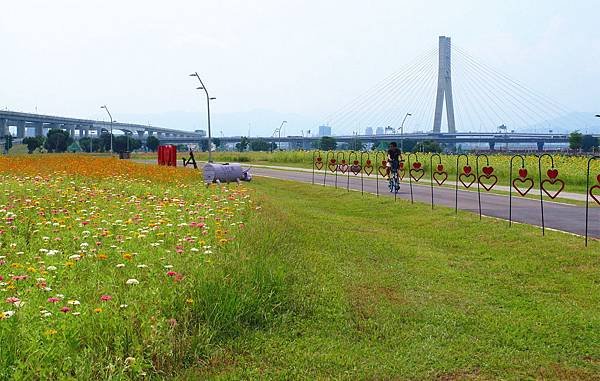 SAM_2629_副本
