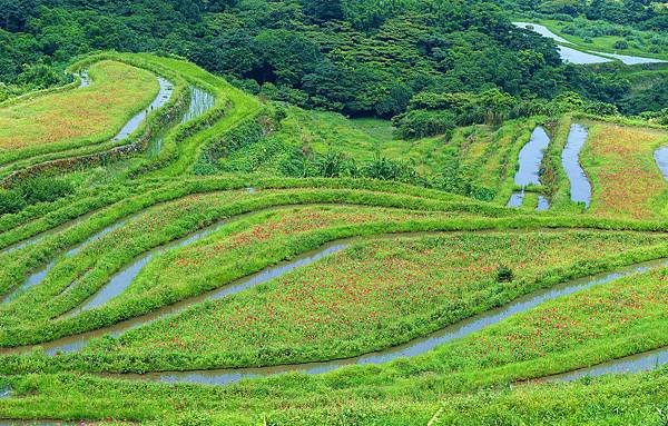 DSC01739_副本.jpg