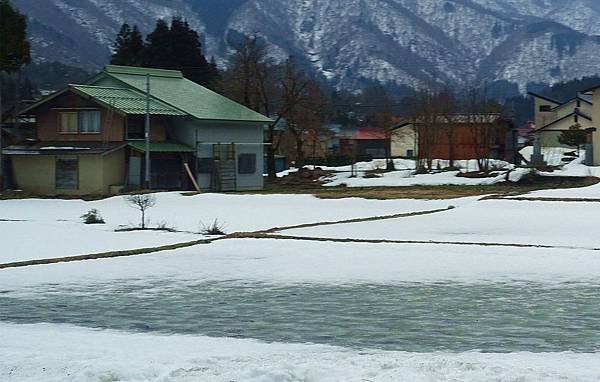 DSC03940_副本.jpg