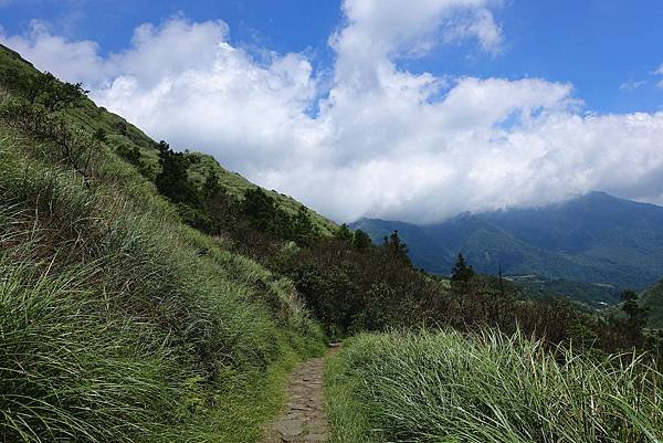 DSC00540_副本.jpg