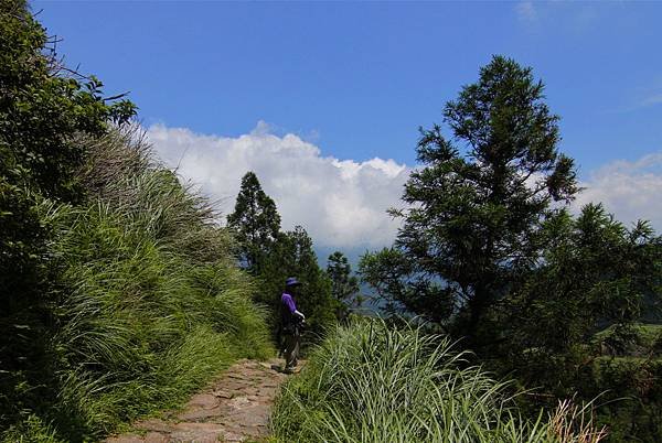 _MG_1025_副本.jpg