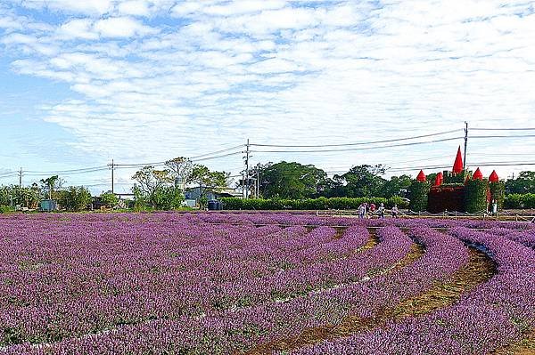 DSC09404_副本.jpg