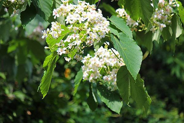 IMG_0399_.jpg