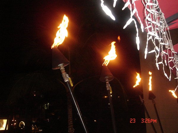 DSC01365.JPG
