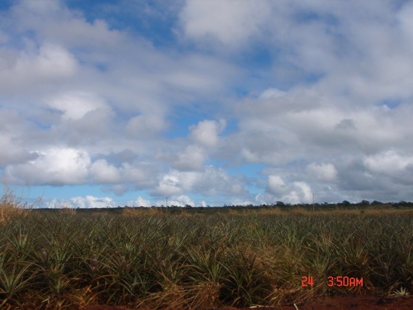 DSC01446.JPG