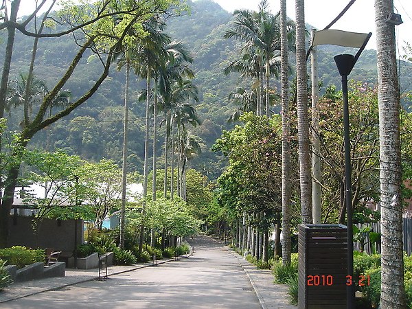 DSC02782.JPG