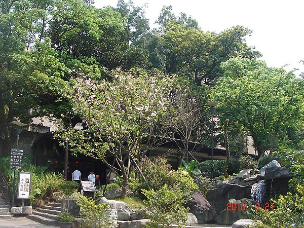 DSC02783.JPG