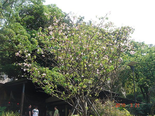 DSC02786.JPG