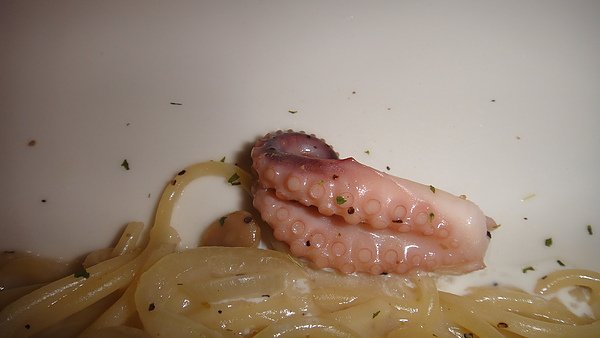 DSC07123.JPG