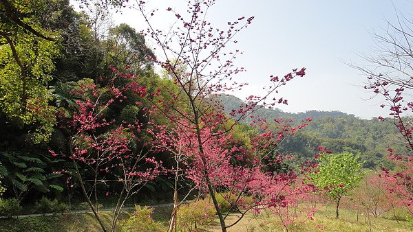 DSC08647.JPG