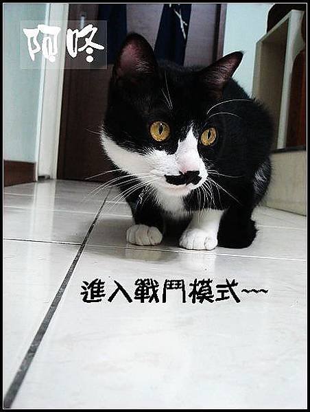 DSC00196_調整大小03