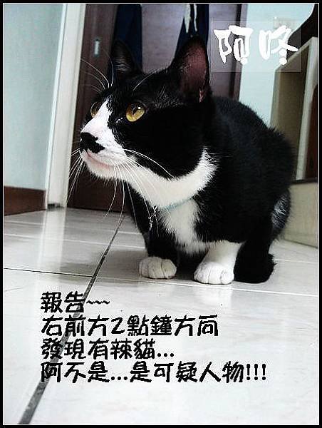 DSC00197_調整大小03