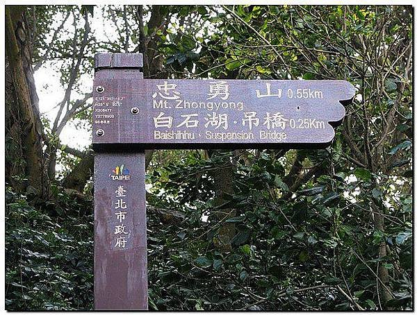 IMG_5503_大小01_78%.jpg