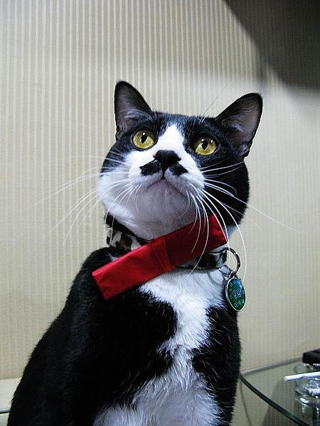 03IMG_0111_調整大小01.jpg