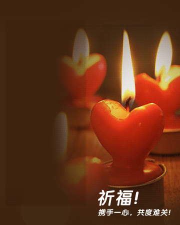 dongzhaoyong1110034.gif