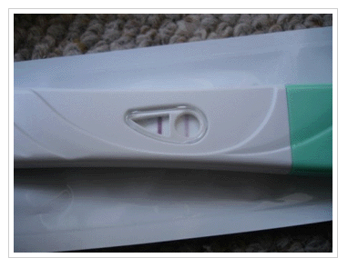 preg.gif