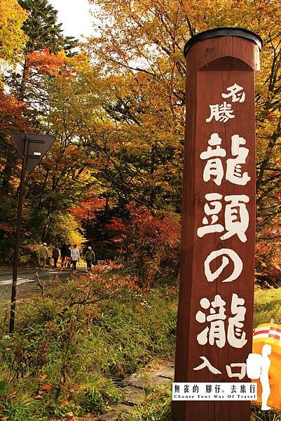 Blog_IMG_0255 copy.jpg