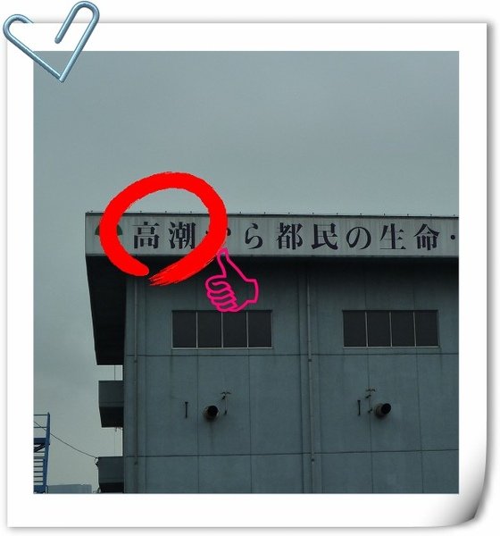P1000711.jpg