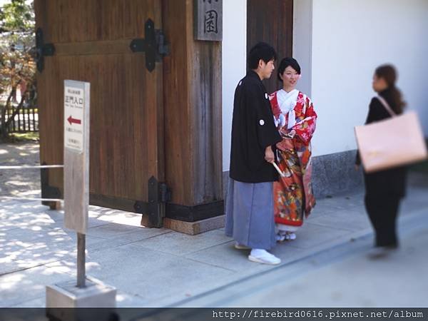 岡山後樂園-岡山城23.jpg