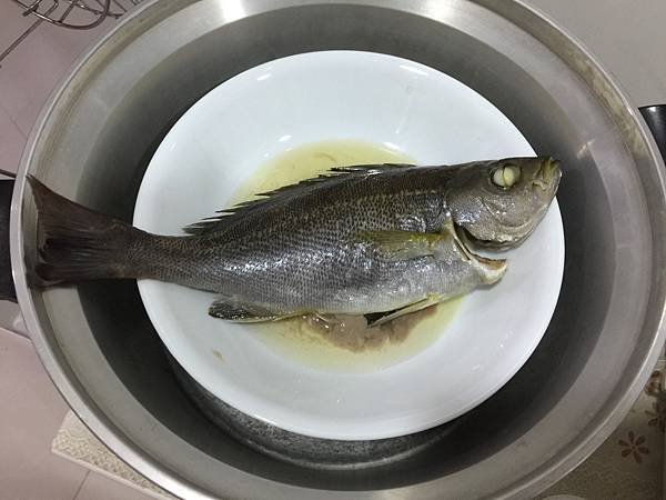 4日向鮮魚場-黃雞16.jpg