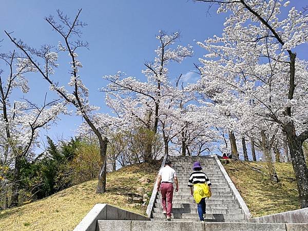 韓國慶州景點佛國寺-4.jpg