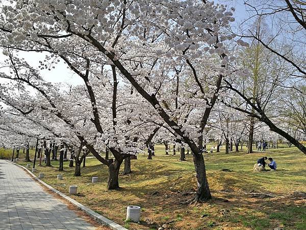 韓國慶州景點佛國寺-9.jpg