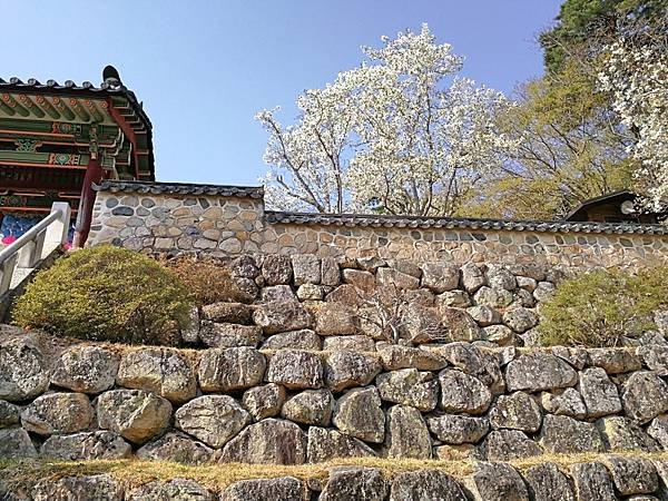 韓國慶州景點佛國寺-41.jpg