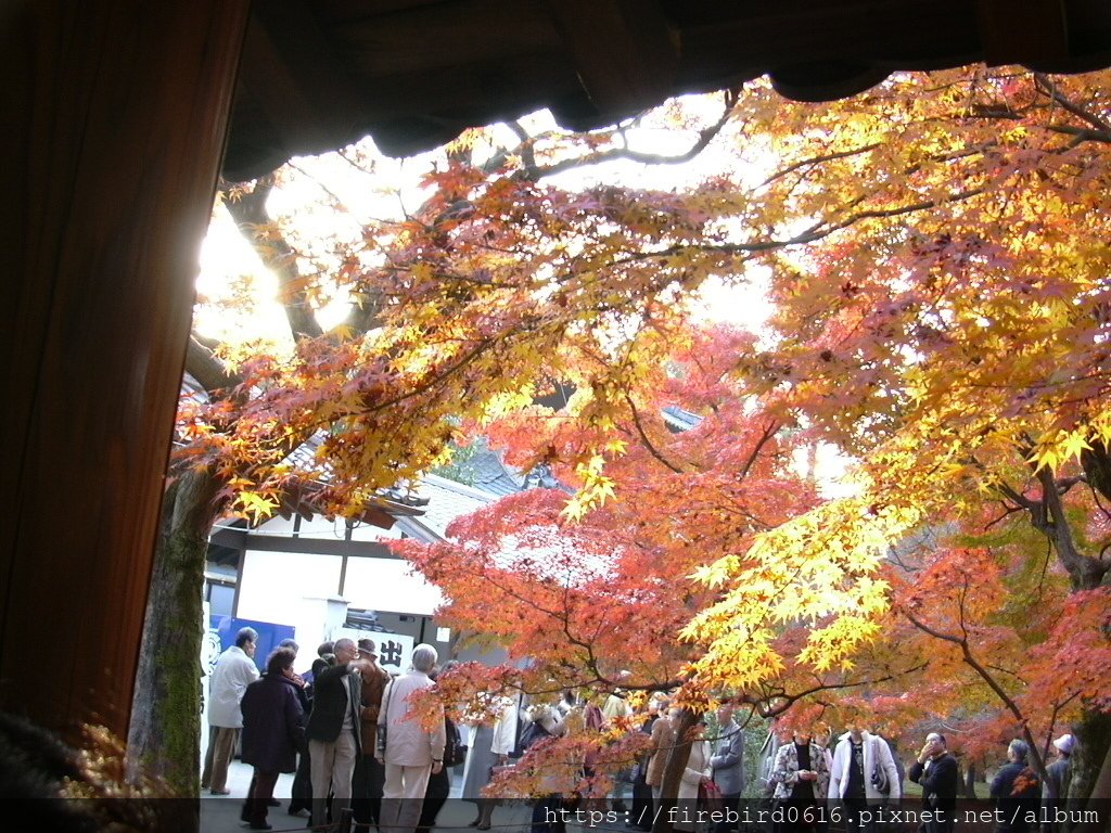 東福寺8.JPG