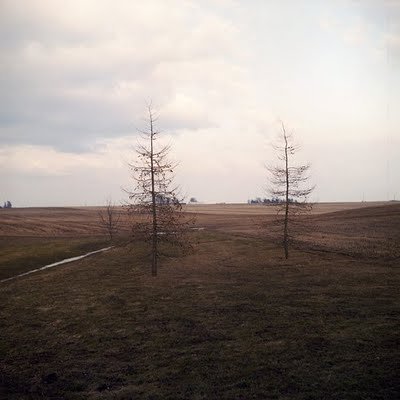 3502488910_5e55033878.jpg