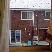 IMG_20131212_100013