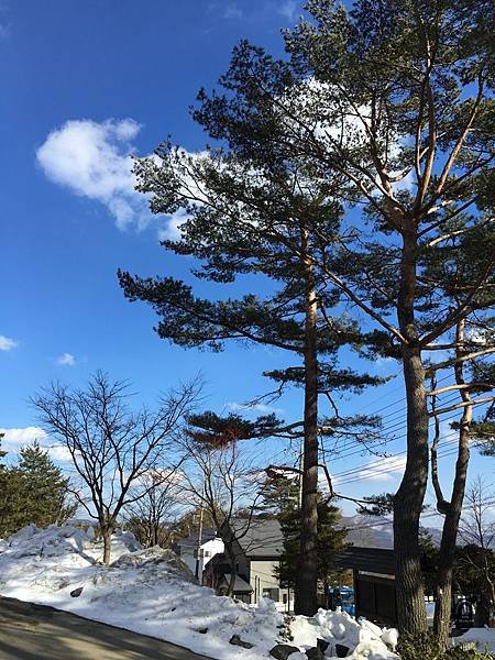 2017_滑雪076.jpg