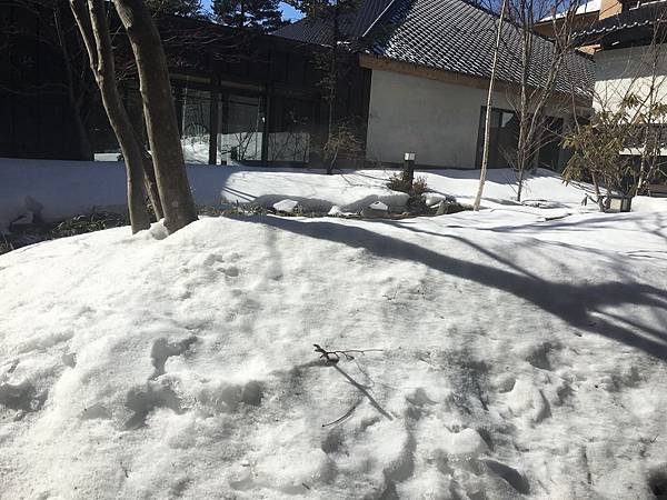 2017_滑雪099.jpg