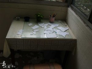 P1011239.jpg