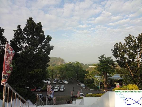 DSC05653