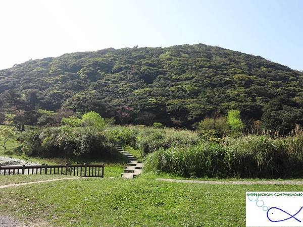 DSC06497