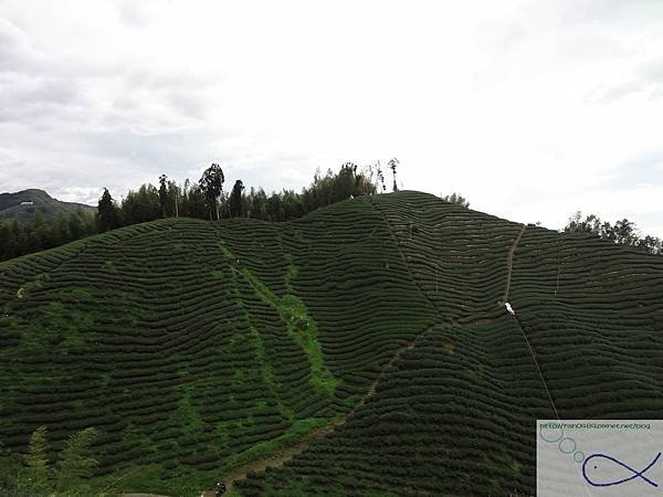 DSC08232