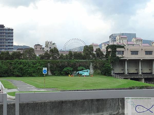 DSC08333