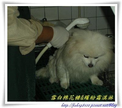 DSCN9957.JPG