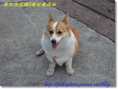 DSC08409.JPG