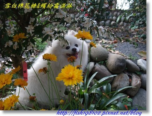 DSCF4665.JPG