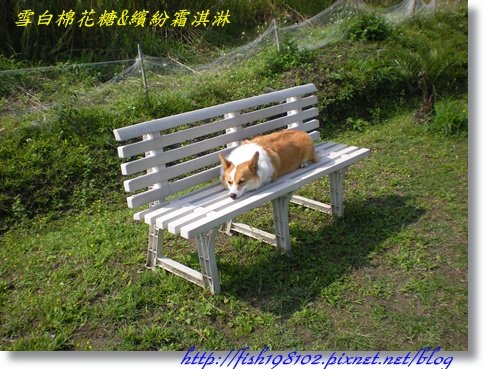 DSCN0031.JPG