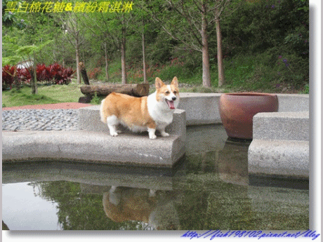 2.gif
