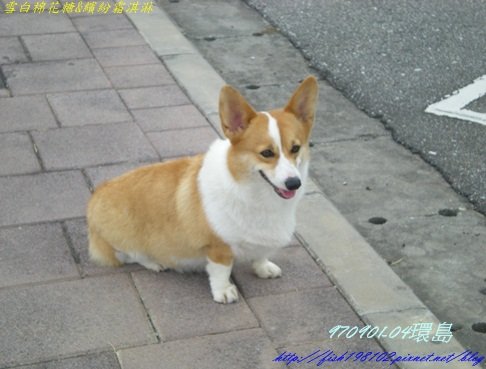 DSCN8832.JPG