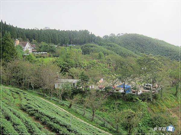 緊鄰山上人家的阿貴