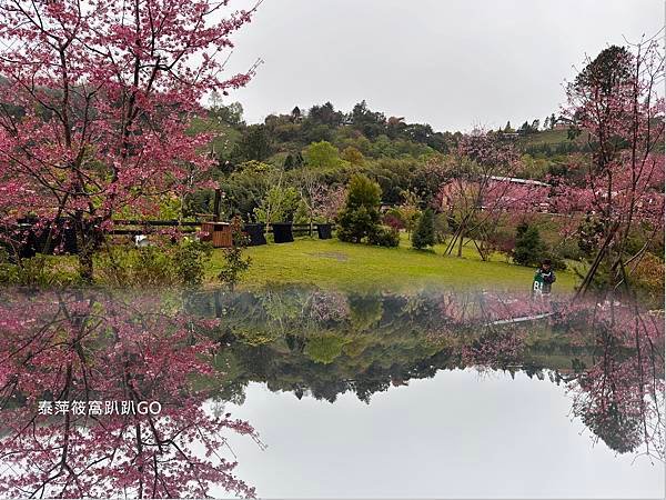 星空下露營區67.JPG