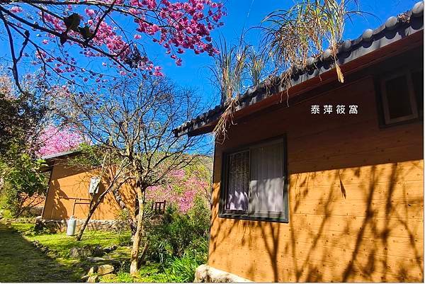 巴棍民宿露營區57.jpg